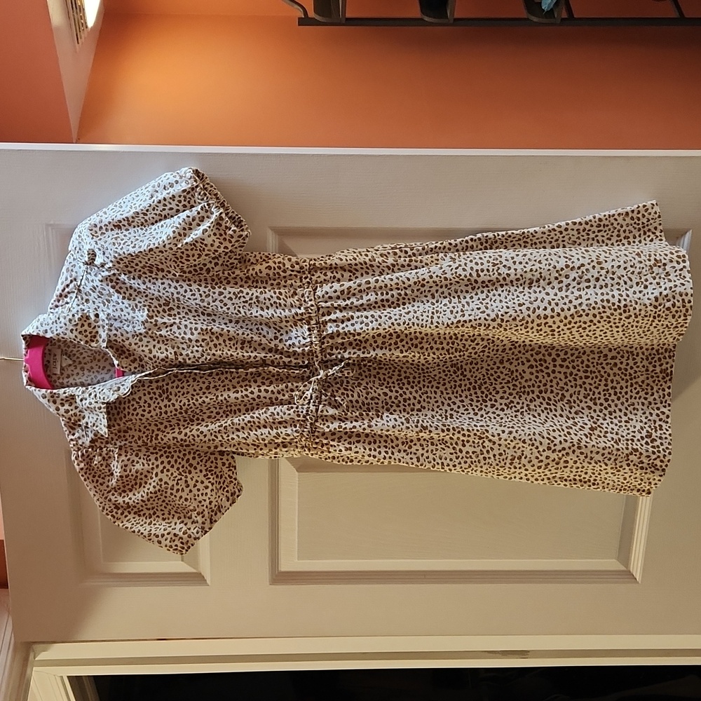 JCrew Factory dress